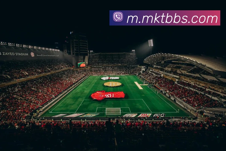 mk体育APP 封面图